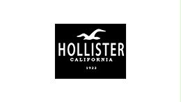 hollister海鸥