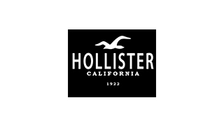 hollister海鸥